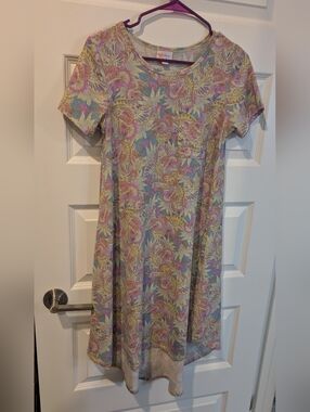Lularoe pastel Paisley Carly